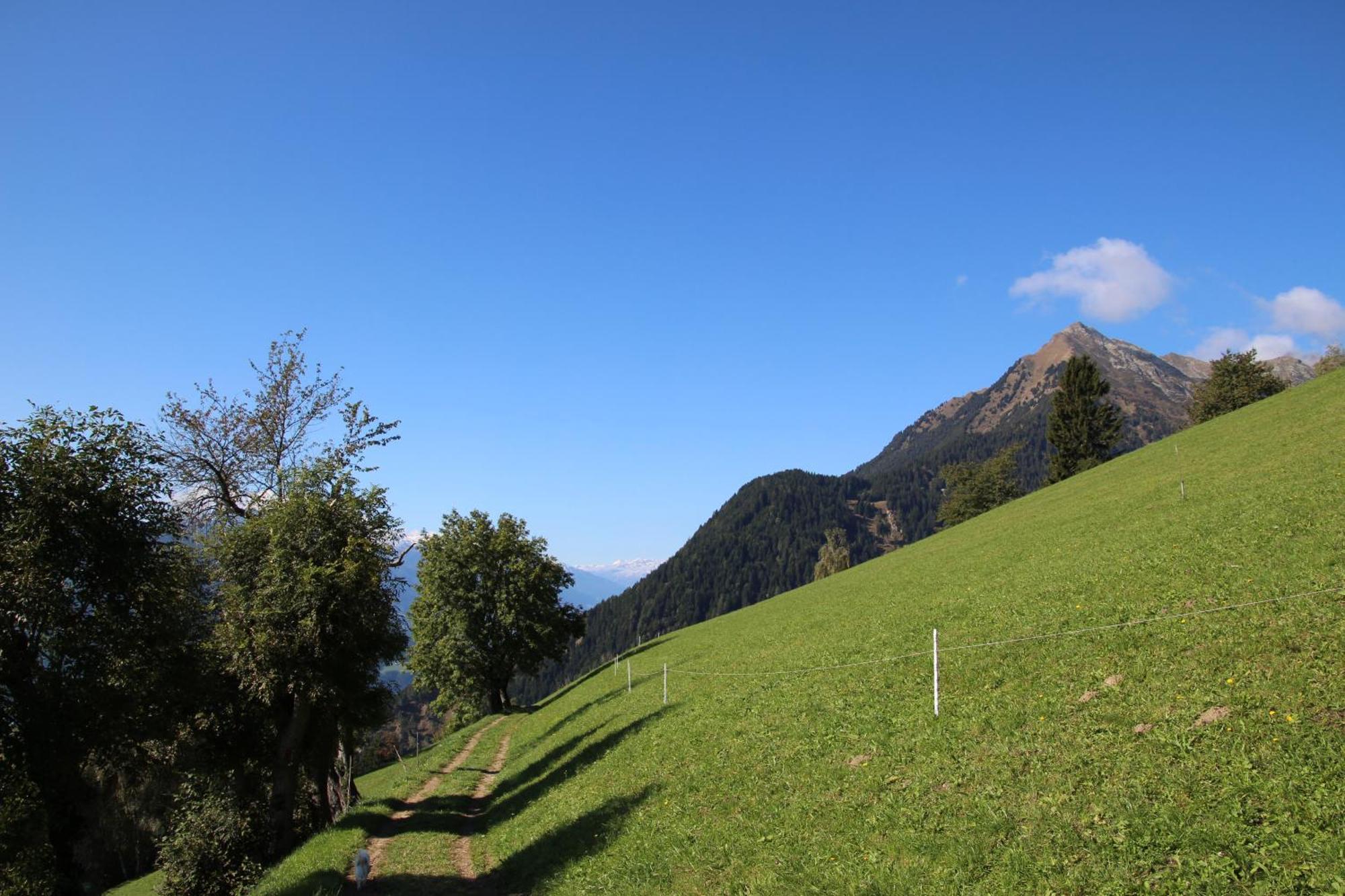 Gasthof Walde Рифьяно Экстерьер фото