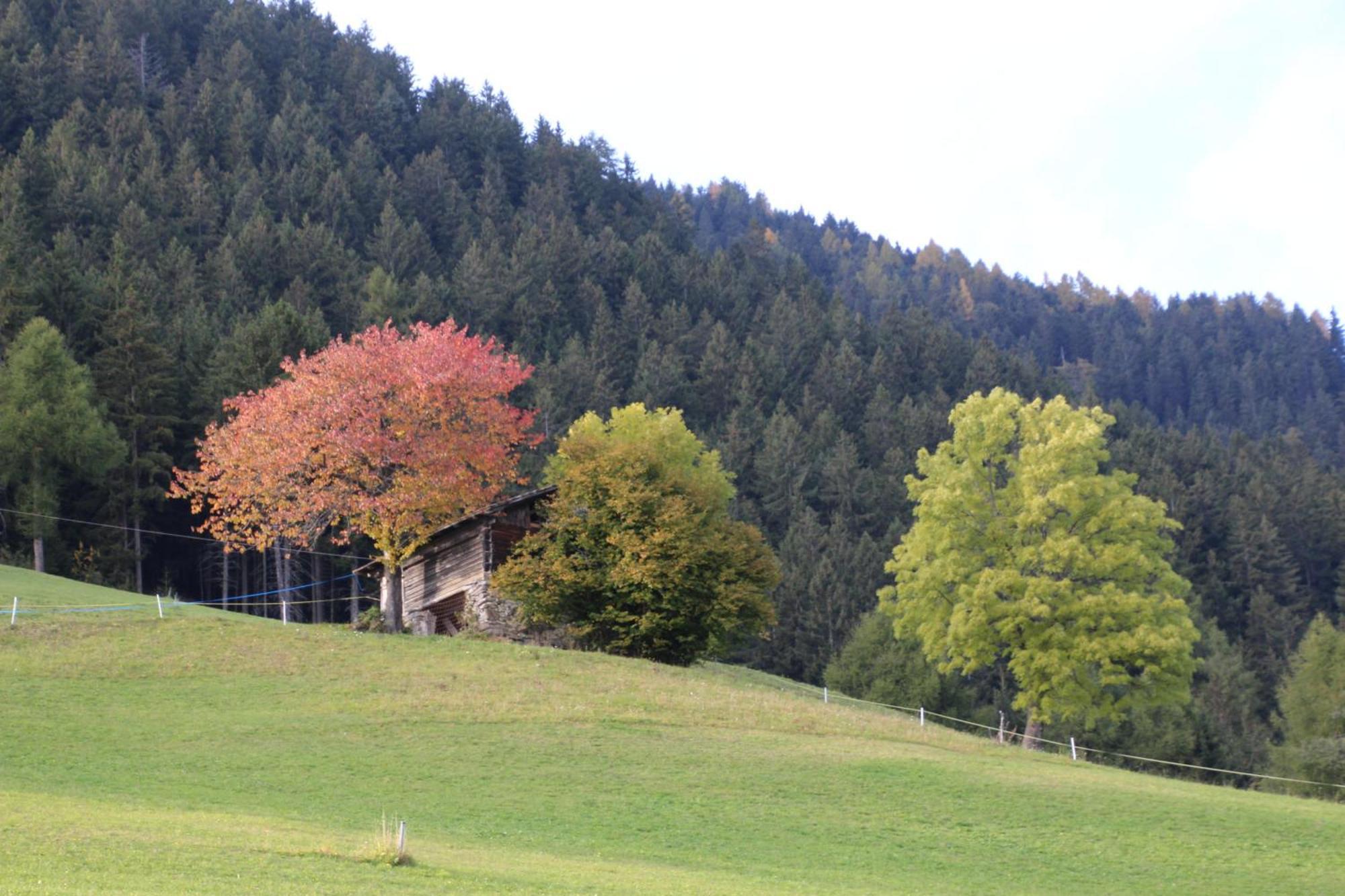 Gasthof Walde Рифьяно Экстерьер фото